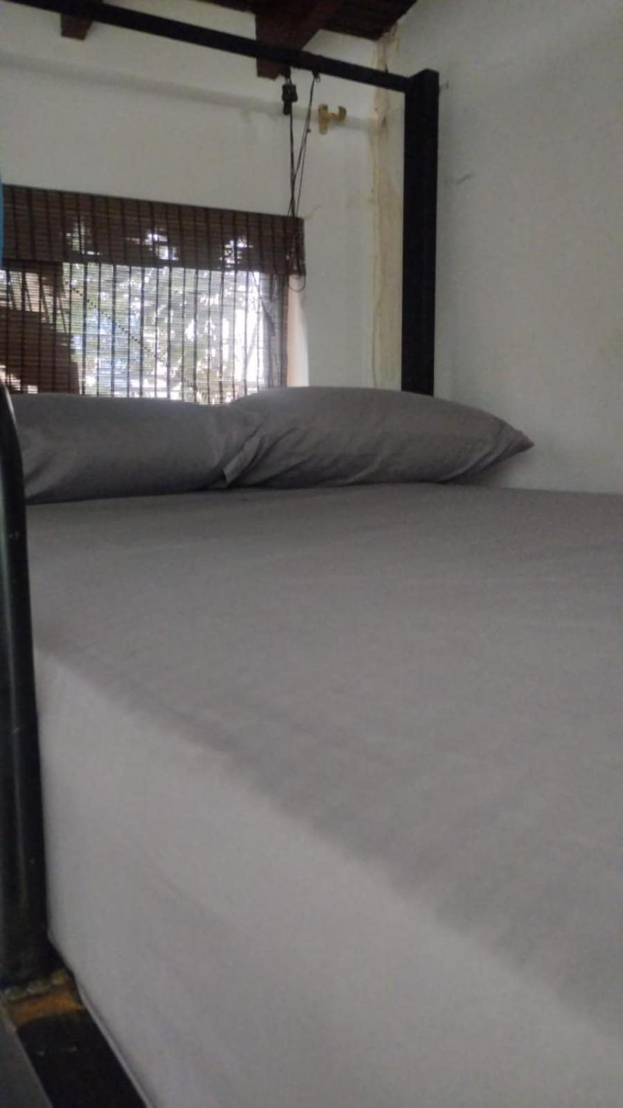 Area 51 Hostel Medellín Kültér fotó
